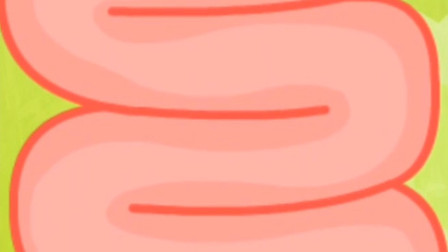 奇妙身体大冒险 大肠出现问题了~宝宝巴士游戏