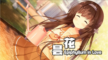 昙花 Galgame恋爱游戏06 我...喜欢你