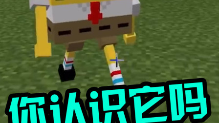 我的世界：海绵宝宝出现在MC，认识他的玩家多吗？