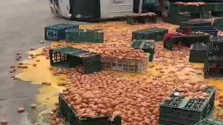 梧州运输鸡蛋的大货车翻车了，鸡蛋洒落一地，这回赔大了！