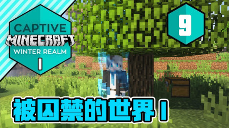 我的世界被囚禁的世界I第9集 白某人4进4出！