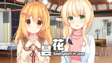昙花 Galgame恋爱游戏07 又是轮回吗？
