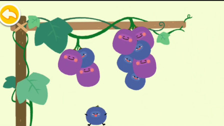 美味可爱的葡萄成熟啦~宝宝巴士游戏