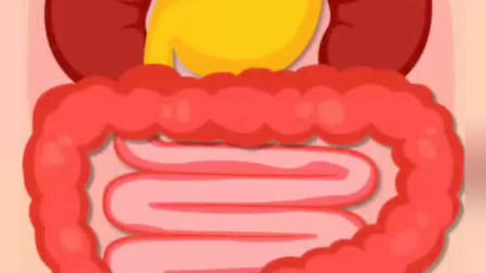 小王子肚子好难受一起帮他消灭食物~宝宝巴士游戏