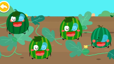 一起来叫醒熟睡的大西瓜~宝宝巴士游戏