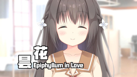 昙花 Galgame恋爱游戏08 我想得到你，全部！