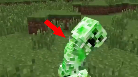 我的世界：弹簧苦力怕！就跟社会青年一样！表演艺术！