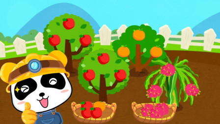 奇妙农产的果实成熟了大家快来采摘~宝宝巴士游戏