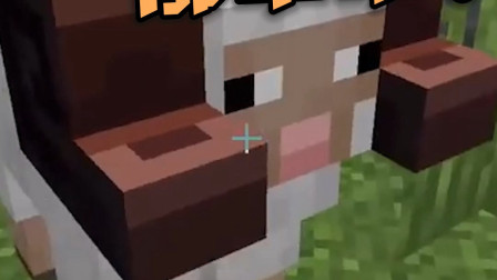 我的世界：最新引进的品种 简单来说就是沸羊羊哦.