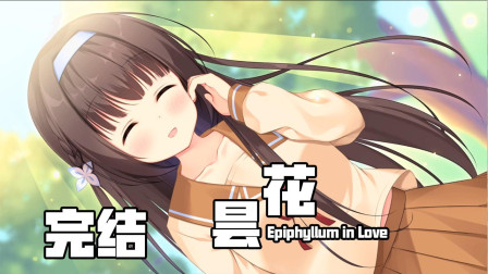 昙花 Galgame恋爱游戏完结！就当是给她的补偿吧~
