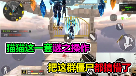 大猫：猫猫一套迷之操作，把终结者都搞懵了，难道真的有点傻？