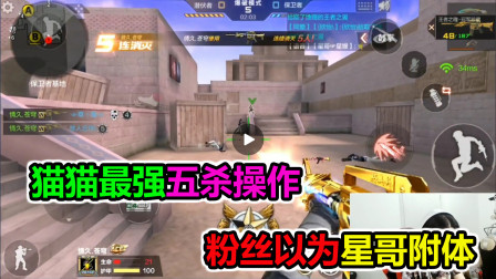 大猫：猫猫最强的五连杀，粉丝还以为星哥附体了