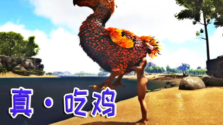 想吃最新鲜的鸡蛋？你跟我过来、方舟