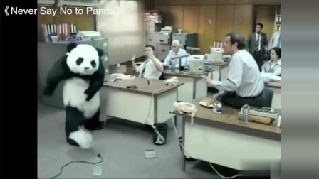 史上硬核广告 事实证明不买熊猫芝士就没有任何问题