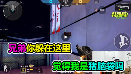 大猫：兄弟你躲在这个地方，觉得我脖子上顶的是猪脑袋吗