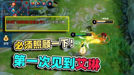 第一次见到艾琳这英雄？那就照顾你一下