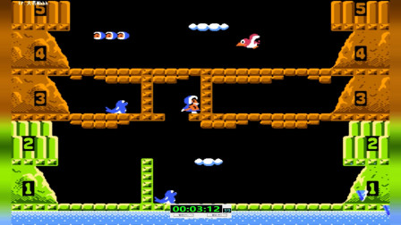 永恒唠游戏: fc敲冰块, 神级玩家的一命速通秀