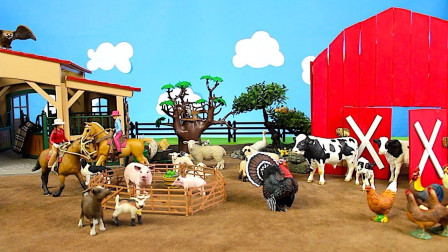 参观农场认识奶牛公鸡绵羊等小动物