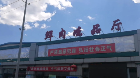 北京大洋路农贸批发市场鲜肉冻品厅，猪肉降价，终于吃的起猪肉了