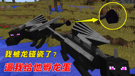 村花被末影龙碰瓷了？看来只能自己孵化龙蛋了！