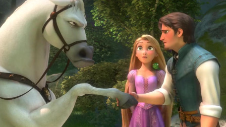 魔发奇缘：这到底是马还是狗，公主训练的样子太像了
