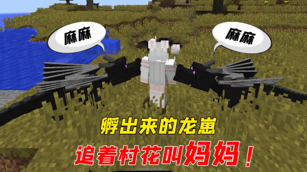 被末影龙崽追着叫妈妈？村花开始慌了