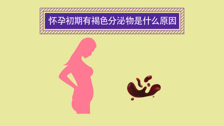 怀孕五周有褐色分泌物图片