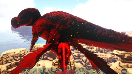 抓到一只小渡渡鸟！快来一起围殴它、方舟