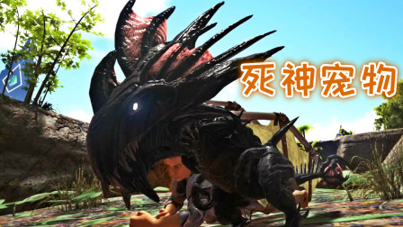 幼年死神破壳而出！这个萌宠很特别、方舟