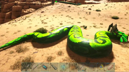 剧毒泰坦巨蟒驯服！驯龙界神之存在、方舟