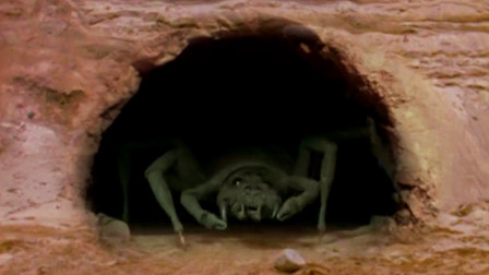 山洞里5米长的巨型蜘蛛苏醒，真是第一次见这么大的！