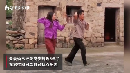 温州农民夫妻田间跳自创曳步舞走红, 把赶鸭子等乡村景象融入舞蹈
