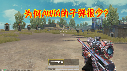 和平精英：为什么AWM的子弹这么少？真实原因无法反驳！