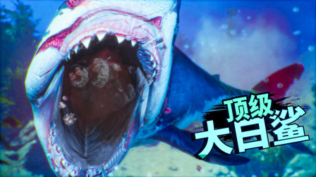 食人鲨：硬刚顶级掠食者巨型大白鲨