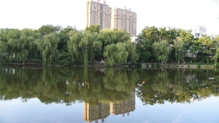 优酷视频&hellip;锦州北湖 风景图片影视