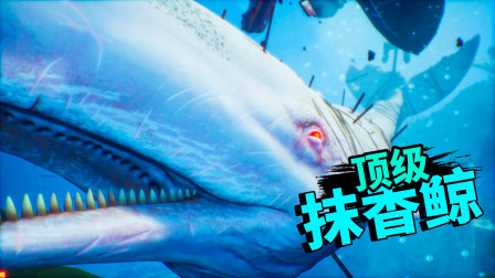 食人鲨完结篇：海底的庞然大物，愤怒的抹香鲸！