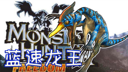 怪物猎人朝圣之旅！我们遇到历战王中王速龙、怪物猎人P