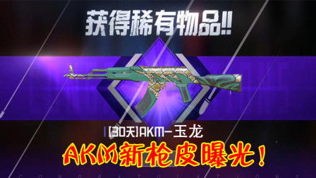 和平精英：体验服意外泄露新皮肤，未公布的AKM枪皮出现了！