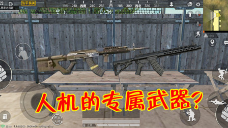 和平精英：人机还有专属武器？体验服已升级，专用这2把枪！