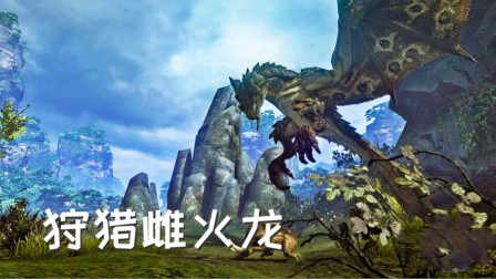 如何劝怪换区？异臭弹X放置陷阱√怪物猎人gu