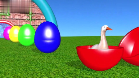 淘乐儿童动画：哇哦！小鸭子从红色的蛋壳中孵化出来，太有趣了