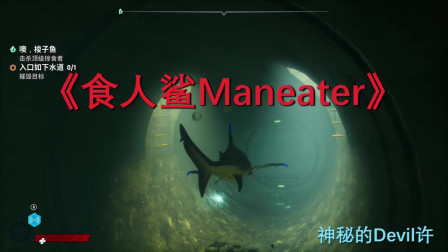 《食人鲨Maneater》小许要立志成为海洋的霸主！还换了口好牙！