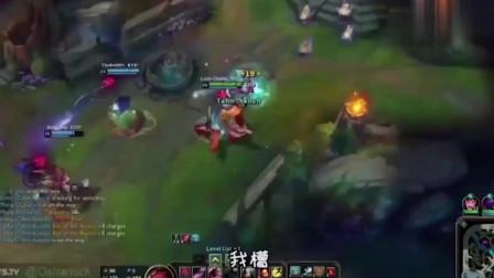 徐老师来巡山：当塔姆跳上舞，太喜感了