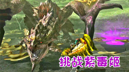 挑战紫毒姬！您听说过以卵击石吗？怪物猎人GU