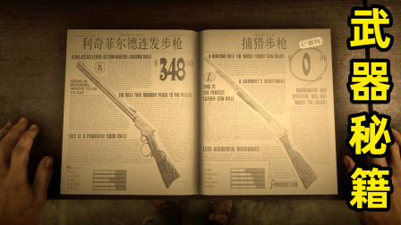 荒野大镖客：今天被抢劫了，去武器店买枪，老板给了我这本书