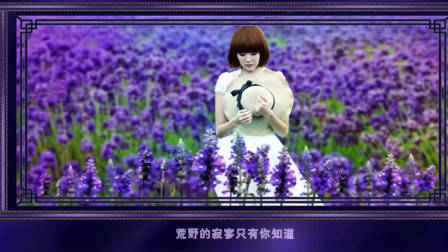 当年台湾电视剧《薰衣草》片尾曲：薰衣草的花语是等待爱情
