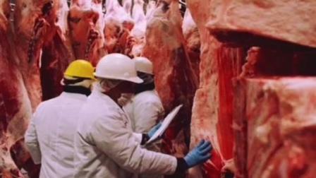 德国最大肉联厂聚集性感染，至少730人核酸检测阳性，给全世界敲响警钟！#疫情