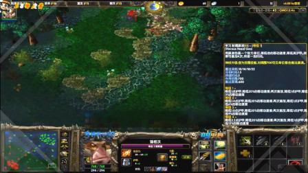 大熊DOTA肉盾跳刀刚背猪