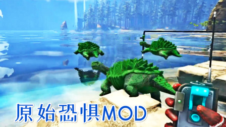 小乌龟奔向海边离家出生！所为何故？方舟