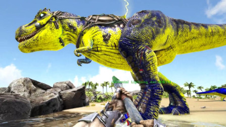 红树林遭遇起源龙！未见其面就被送回家？方舟